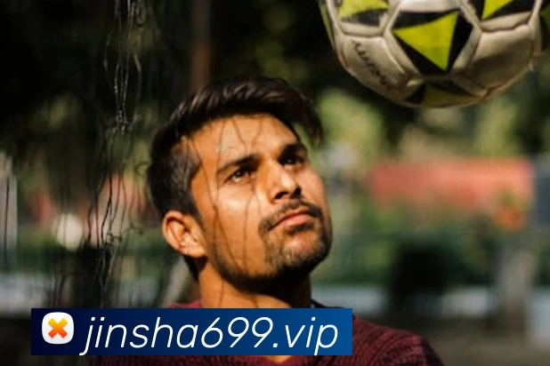 金沙娱乐APP 封面图